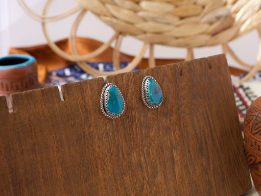 Campitos Turquoise Stud Earrings #1