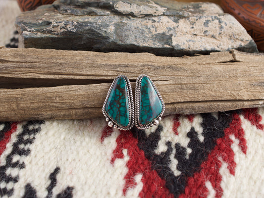 Moon River Turquoise Post Earrings
