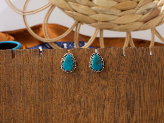 Campitos Turquoise Stud Earrings #1
